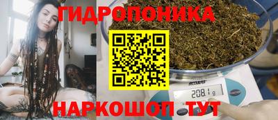 дмт Обь