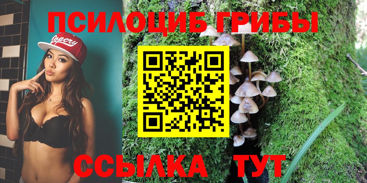 Рузаевка  Галлюциногенные грибы Psilocybe  Вход с VPN 