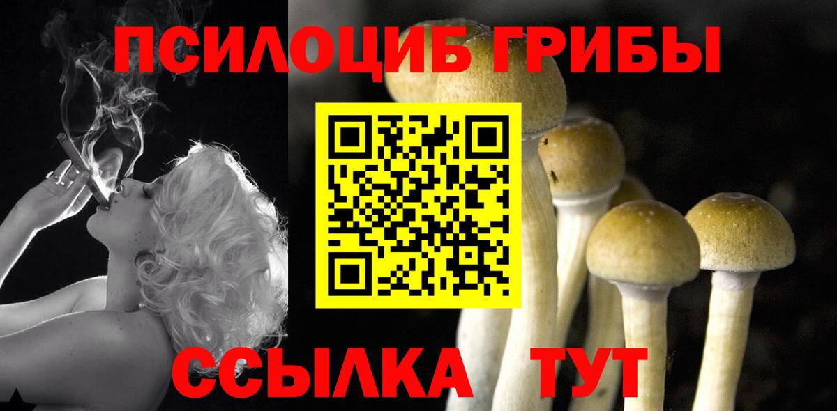 Галлюциногенные грибы Magic Shrooms Рузаевка